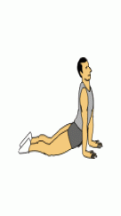 McKenzie Press up
