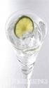Gintonic